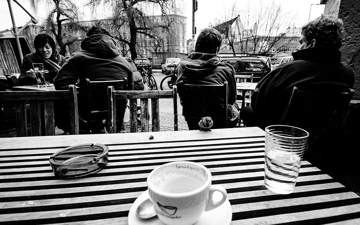 Vogel auf einem Cafe-Tisch