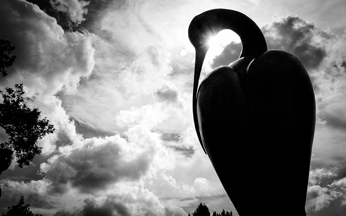 Princes Diana Swan Memorial